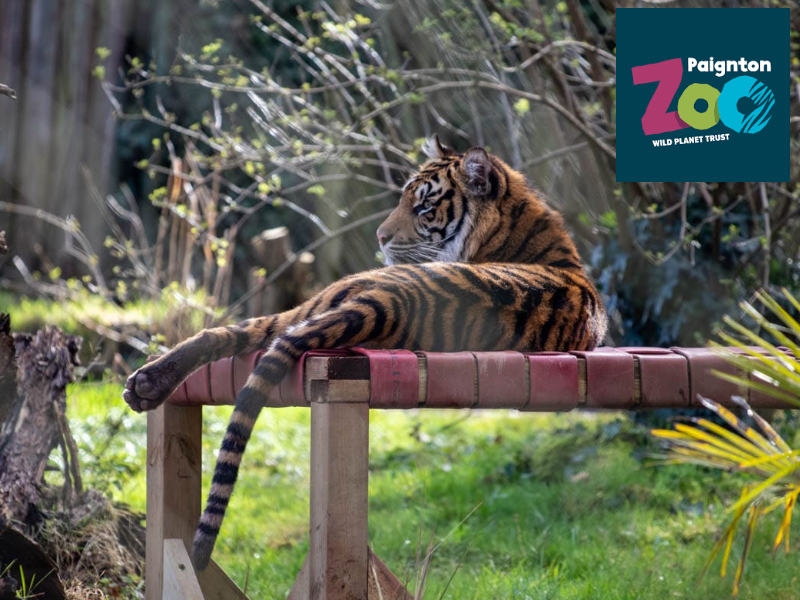 Visitor+ Meet These Amazing Creatures at Paignton Zoo in Devon
